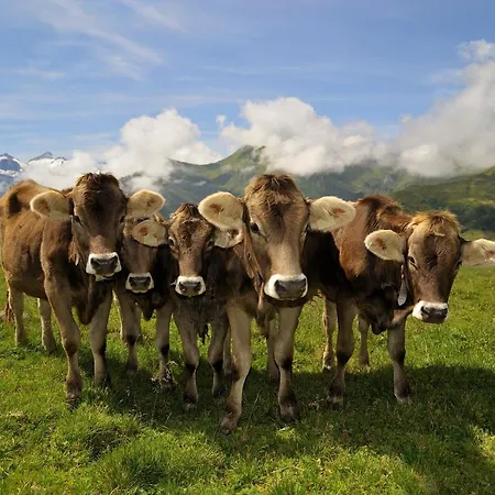 Brugger Aparthotel Mayrhofen