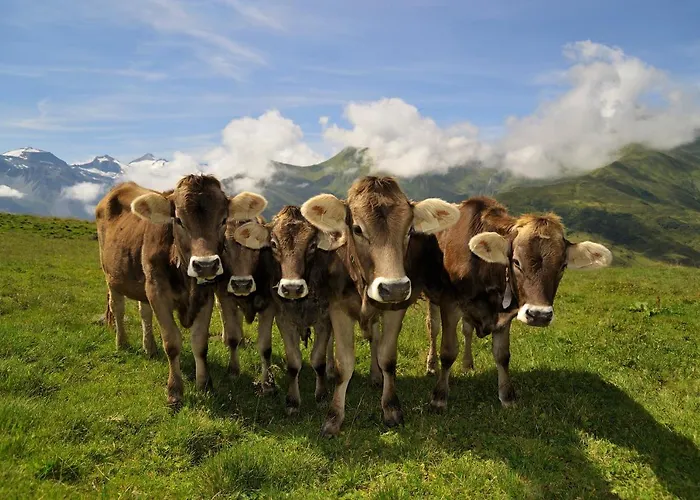 Brugger Aparthotel Mayrhofen